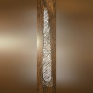 NWT Le Chateau Men Tie